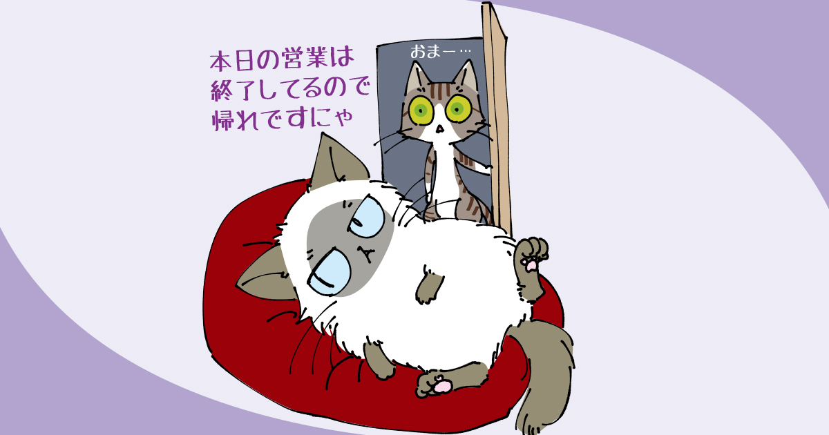 更新サボって半年間。その間に訪問者数って増えているのか!?